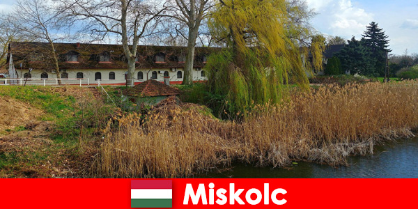Confronta i prezzi di hotel e alloggio a Miskolc Ungheria vale la pena