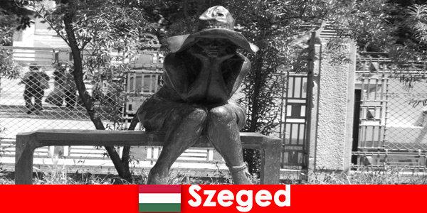 Ci sono numerose figure in pietra da ammirare a Szeged in Ungheria