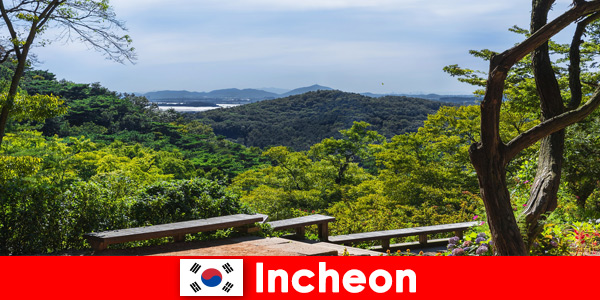 Città e natura in Incheon Corea del Sud si armonizzano molto bene tra loro