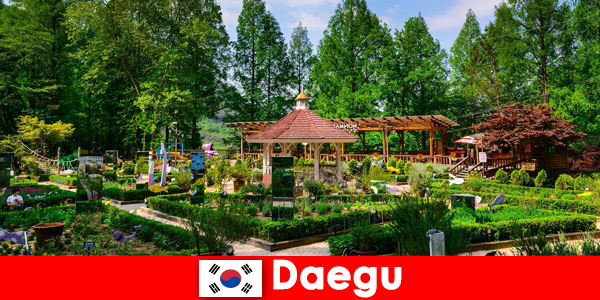 Daegu in Corea del Sud la città con la diversità e molti luoghi d'interesse
