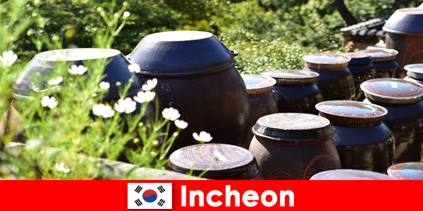 Osserva i laghi di montagna e una varietà di piante a Incheon in Corea del Sud