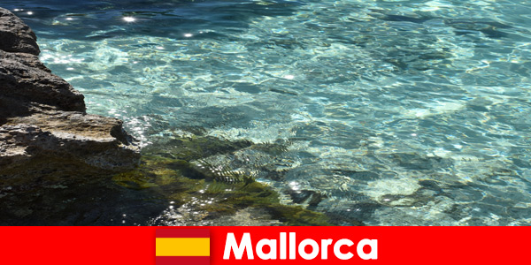 Un luogo da sogno di nostalgia per tutti i visitatori è Maiorca in Spagna