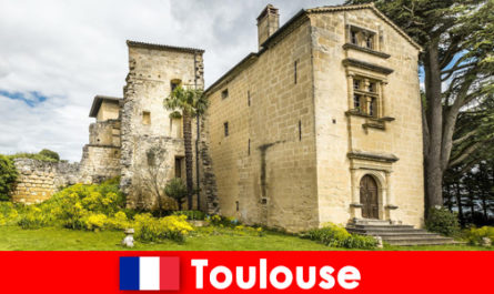 I vacanzieri a Tolosa in Francia sperimentano la storia e la modernità