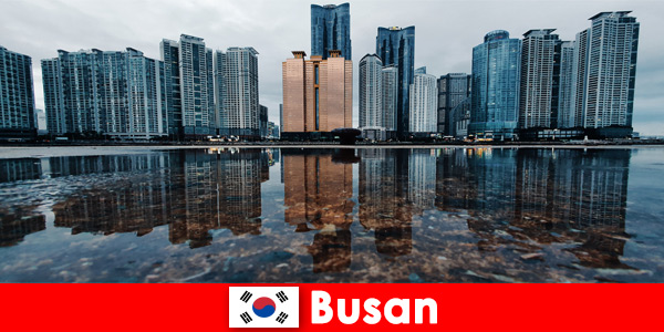 Viaggi economici e grandi attività a Busan in Corea
