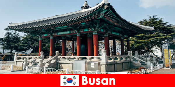 Vale sempre la pena vedere i templi decorati di Busan, in Corea del Sud