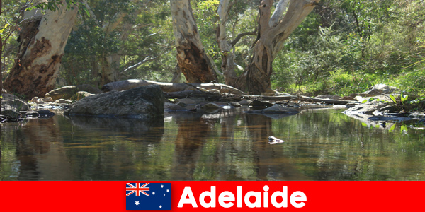 Vivi la natura al suo meglio ad Adelaide