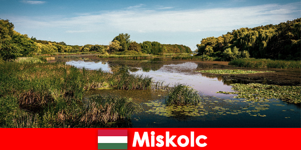 Miskolc Ungheria offre molte opportunità per i viaggiatori
