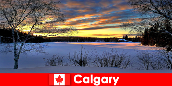 Goditi un paesaggio invernale con un'atmosfera speciale per i vacanzieri a Calgary